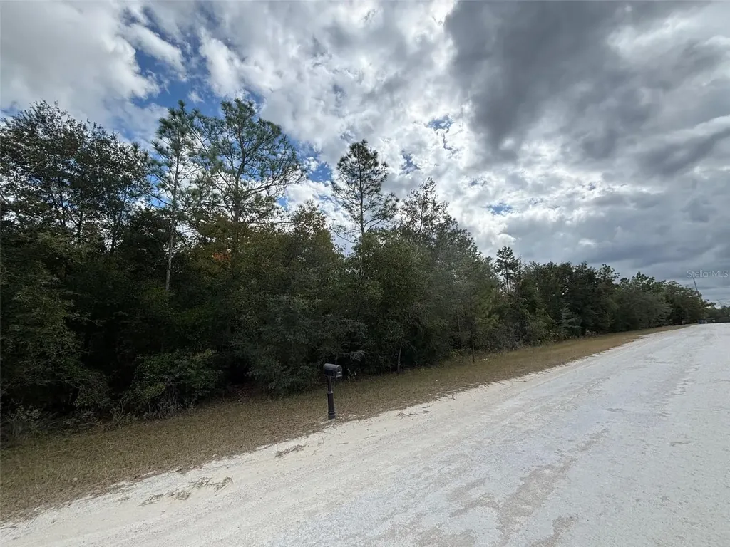 Lot 17 Canyon Swallow Road Weeki Wachee FL 34614