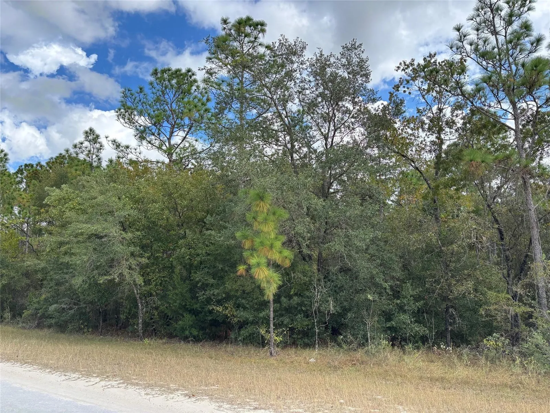 Lot 17 Canyon Swallow Road Weeki Wachee FL 34614