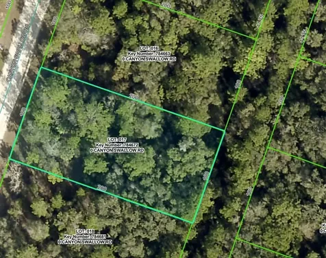 Lot 17 Canyon Swallow Road Weeki Wachee FL 34614