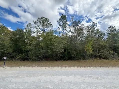 Lot 17 Canyon Swallow Road Weeki Wachee FL 34614