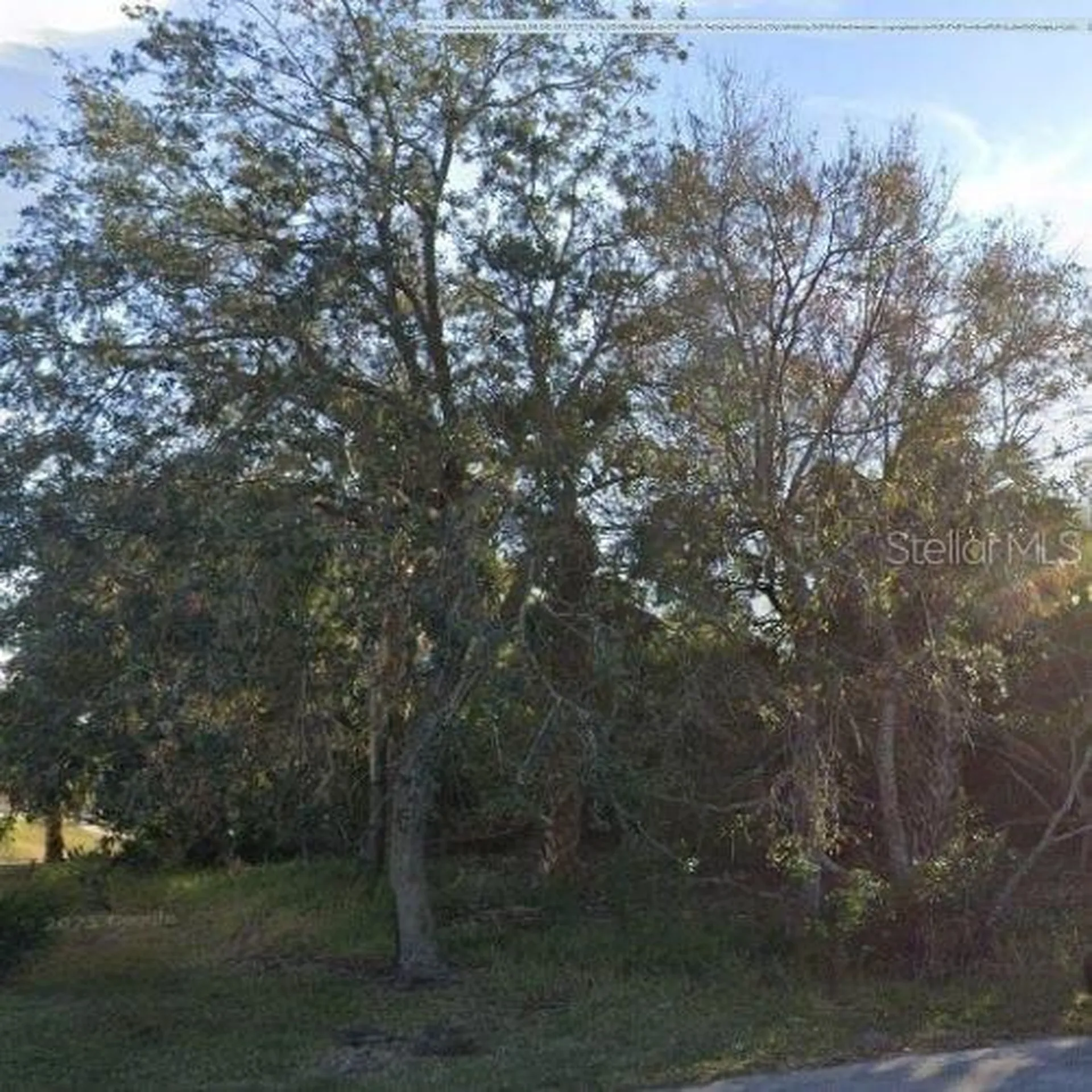 6 Cher Court Palm Coast FL 32137