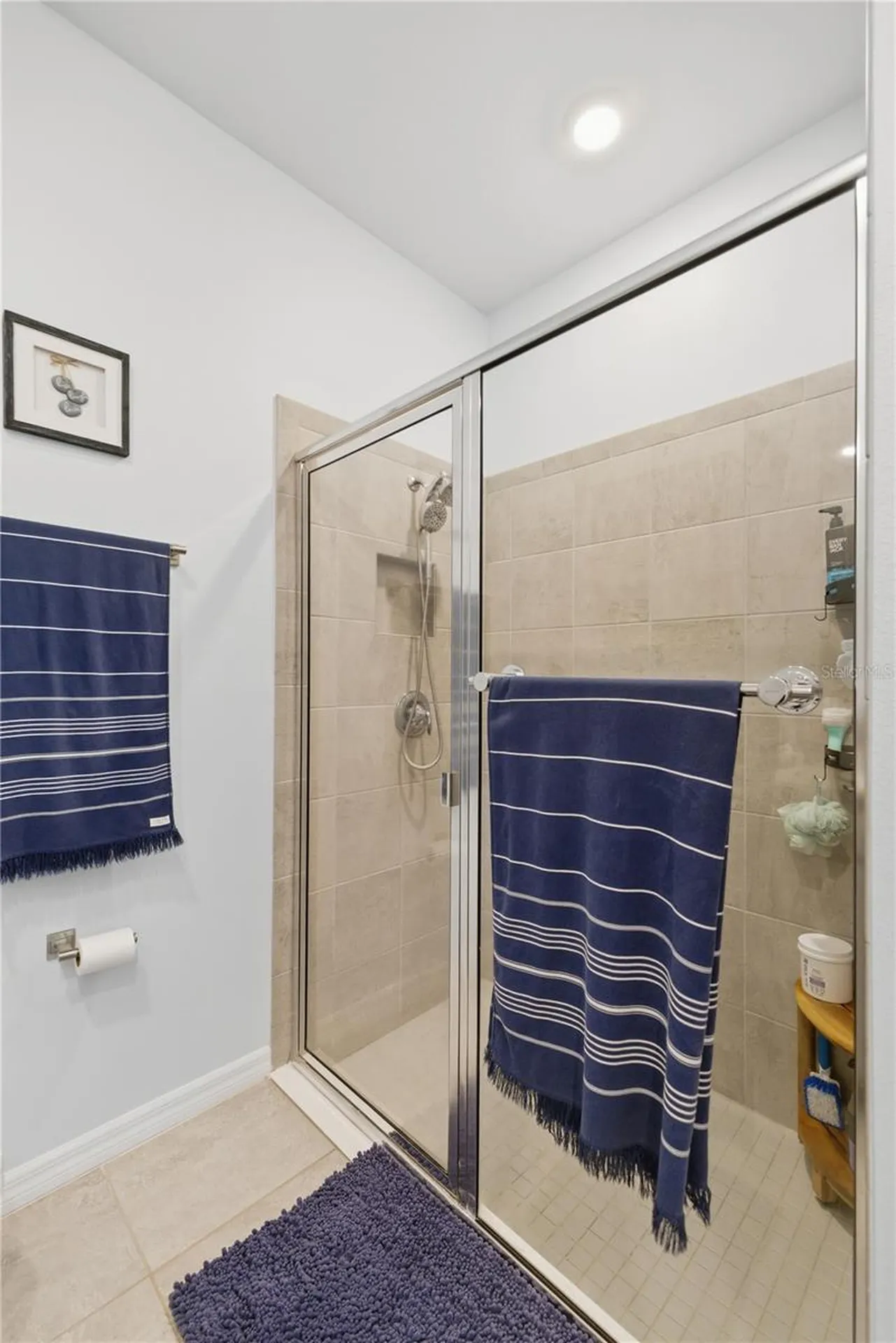 5341 NW 48th Place Ocala FL 34482