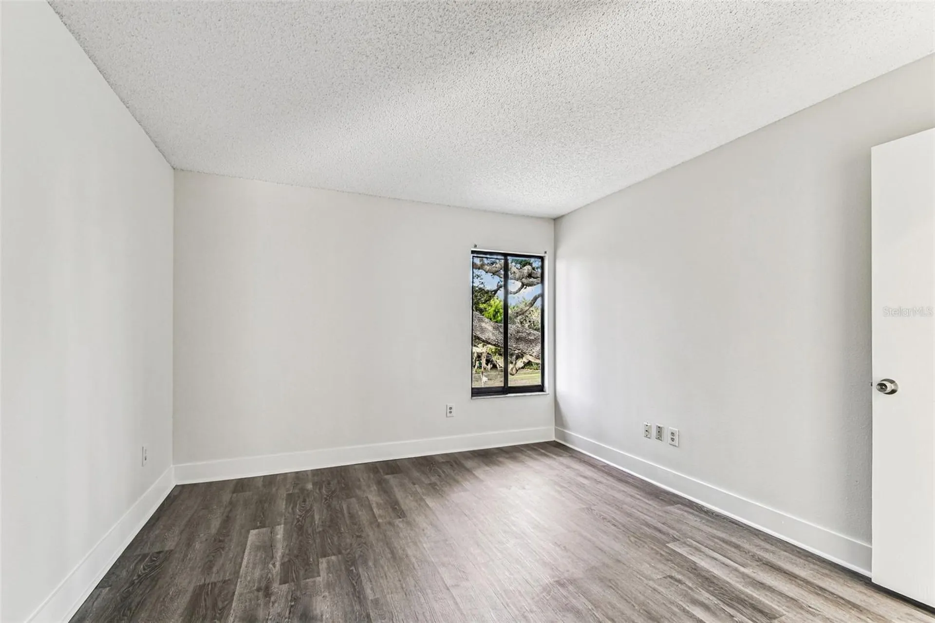 1734 Rumar Lane Holiday FL 34691