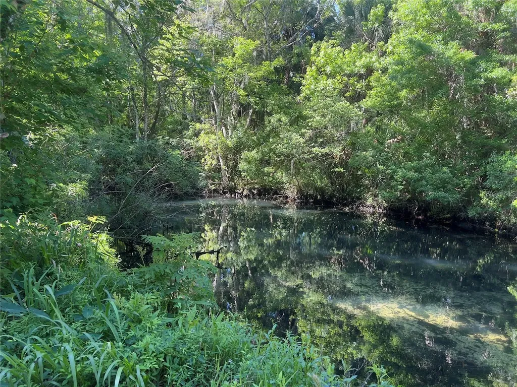 332 NW Crystal Street Crystal River FL 34428