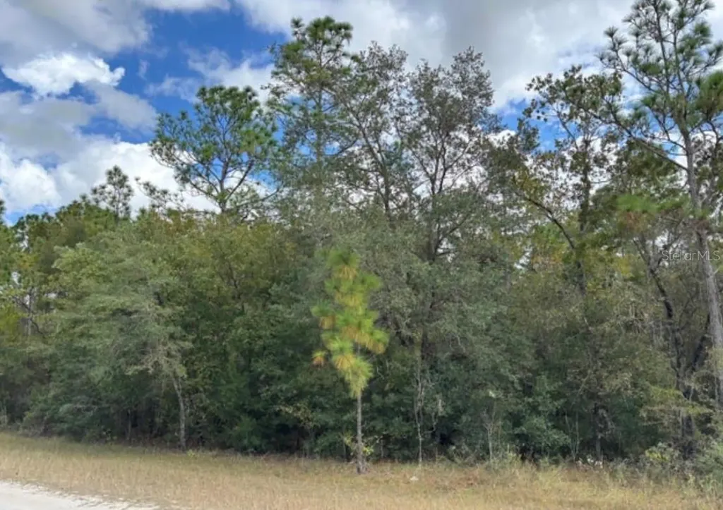Lot 19 Canyon Swallow Road Weeki Wachee FL 34614