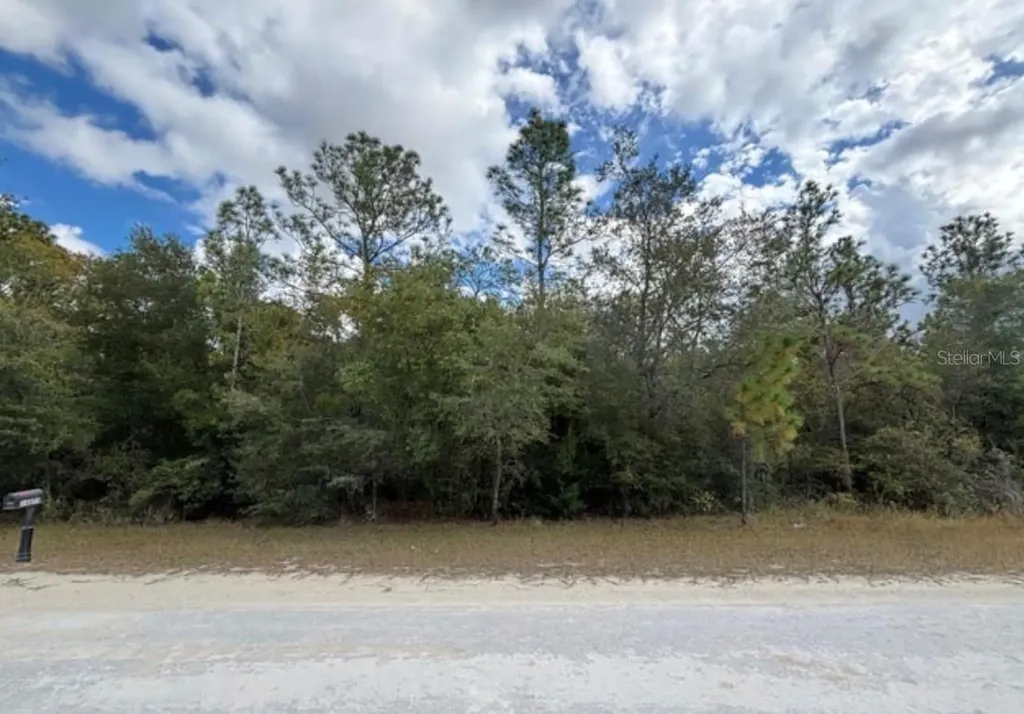 Lot 19 Canyon Swallow Road Weeki Wachee FL 34614