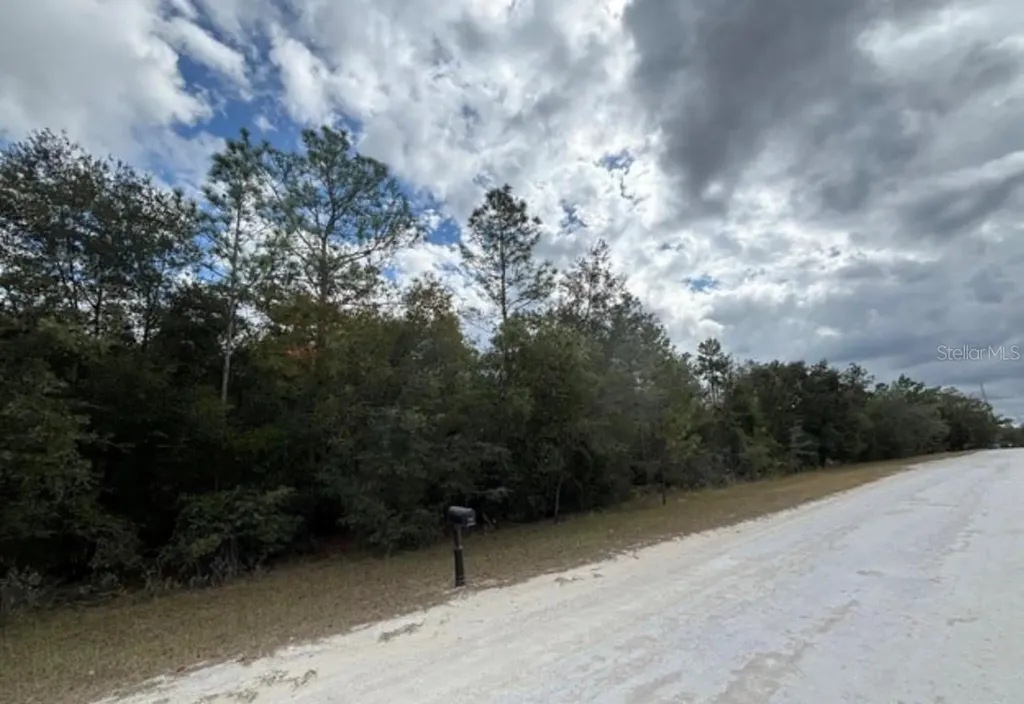 Lot 19 Canyon Swallow Road Weeki Wachee FL 34614