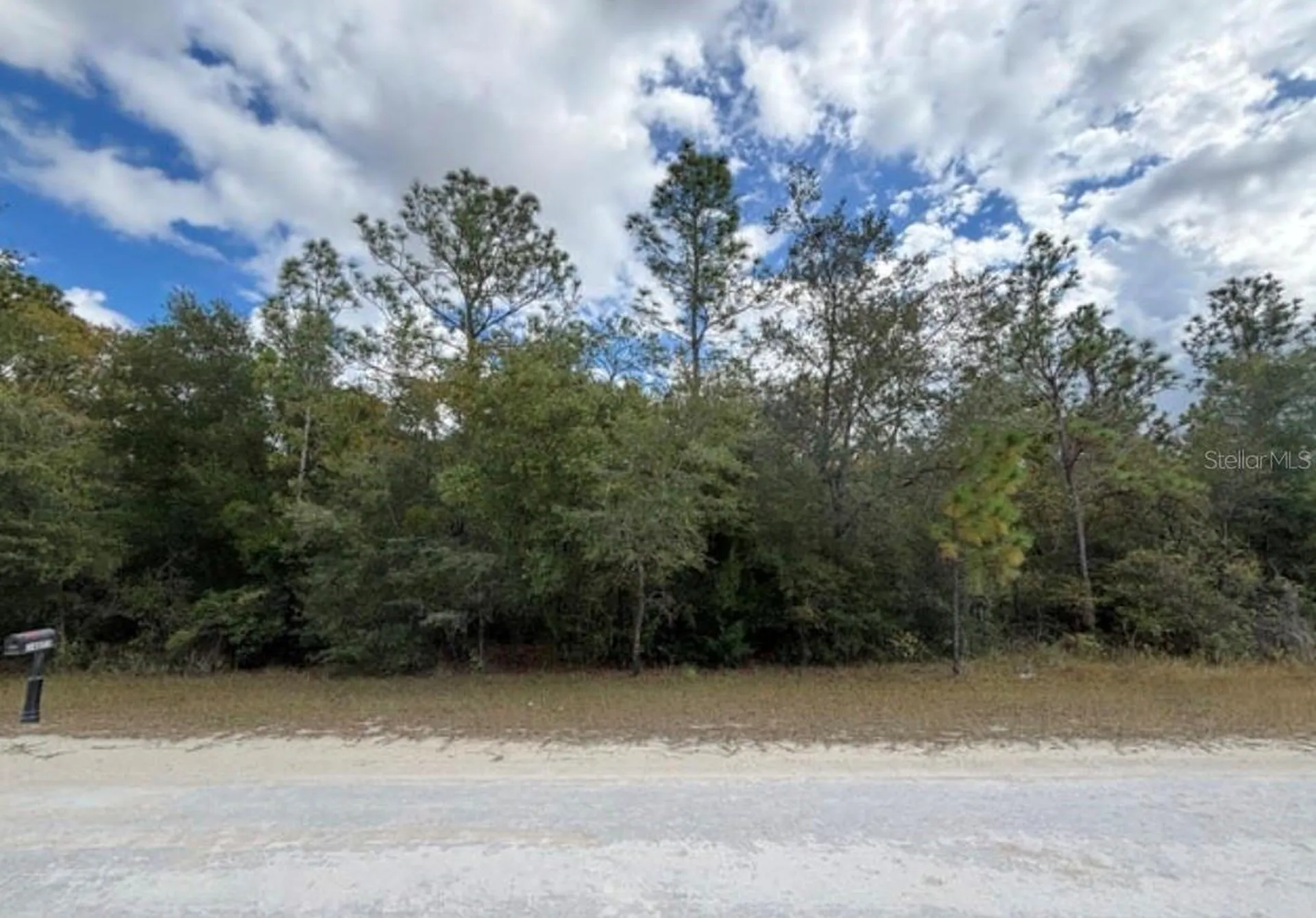 Lot 19 Canyon Swallow Road Weeki Wachee FL 34614