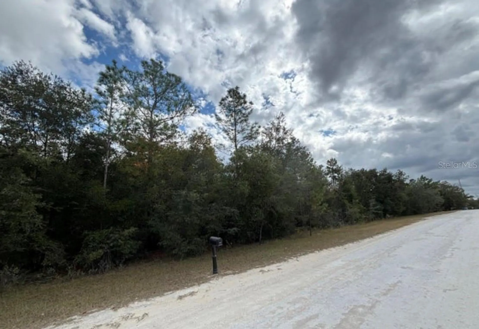 Lot 19 Canyon Swallow Road Weeki Wachee FL 34614