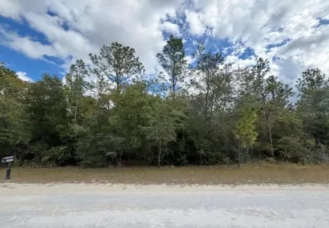 Lot 19 Canyon Swallow Road Weeki Wachee FL 34614