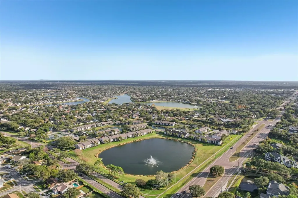1408 Woodstork Drive Brandon FL 33511