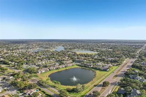 1408 Woodstork Drive Brandon FL 33511