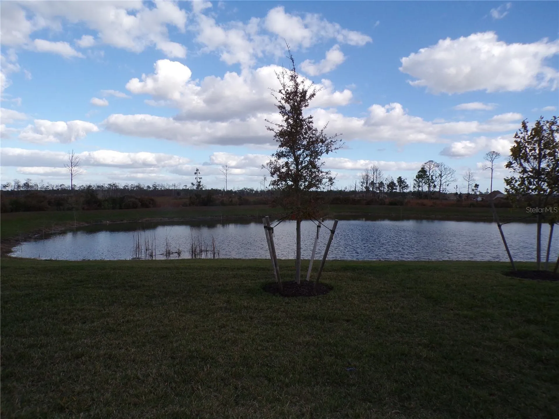 11369 Willowleaf Boulevard Punta Gorda FL 33955