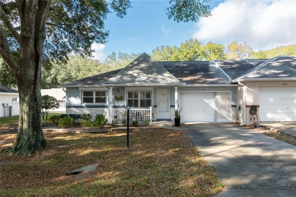 9668 SW 94th Court Ocala FL 34481