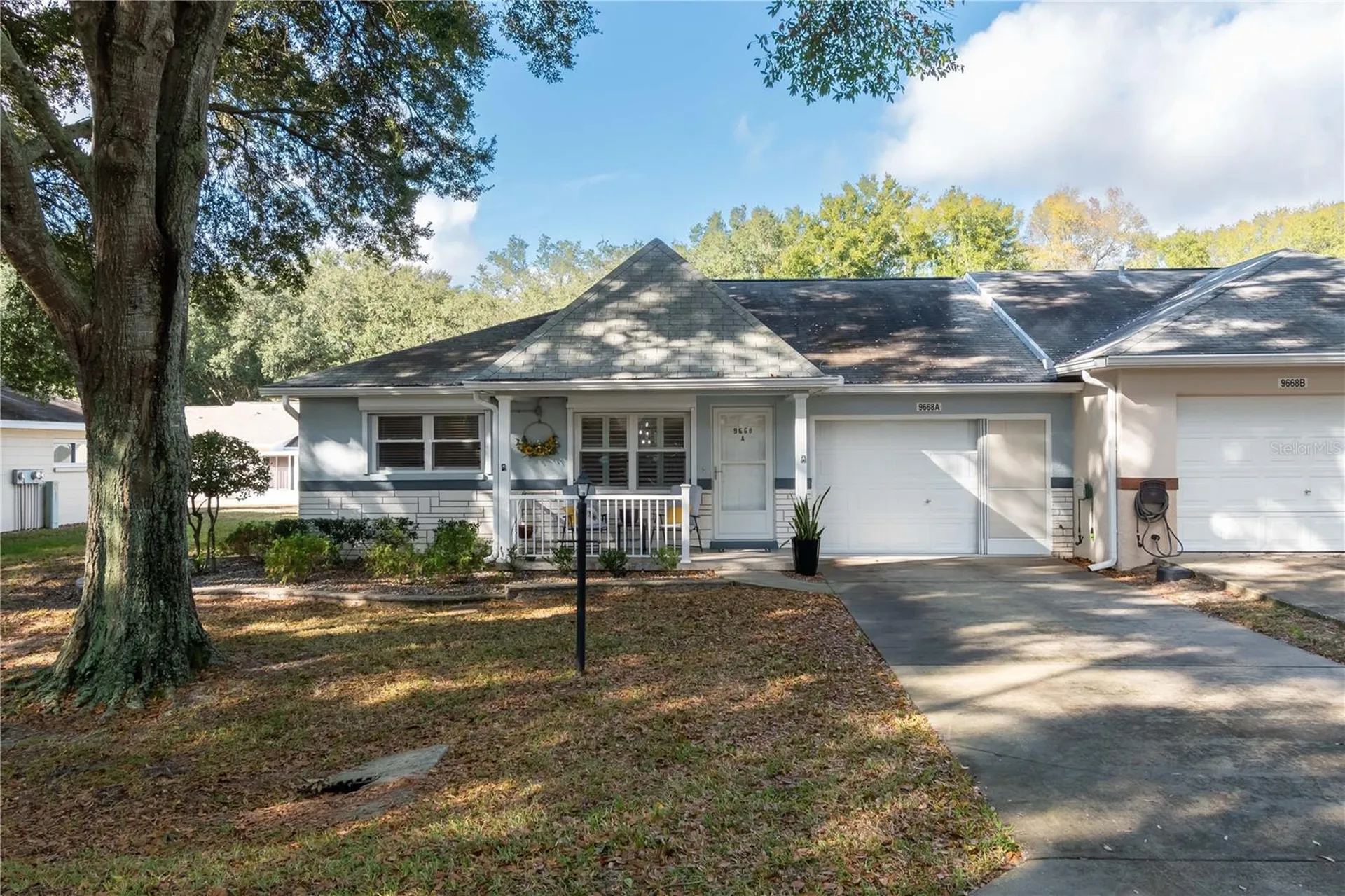 9668 SW 94th Court Ocala FL 34481