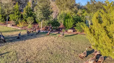 7330 Crabgrass Road St Cloud FL 34773