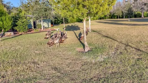 7330 Crabgrass Road St Cloud FL 34773