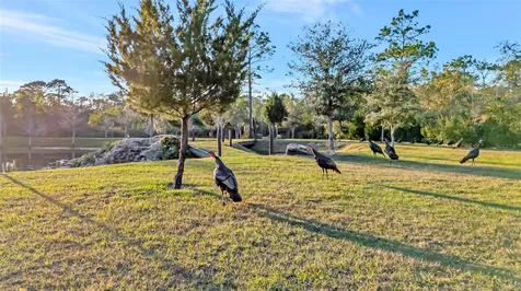 7330 Crabgrass Road St Cloud FL 34773