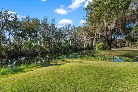 7938 Jacksons River Road Leesburg FL 34788