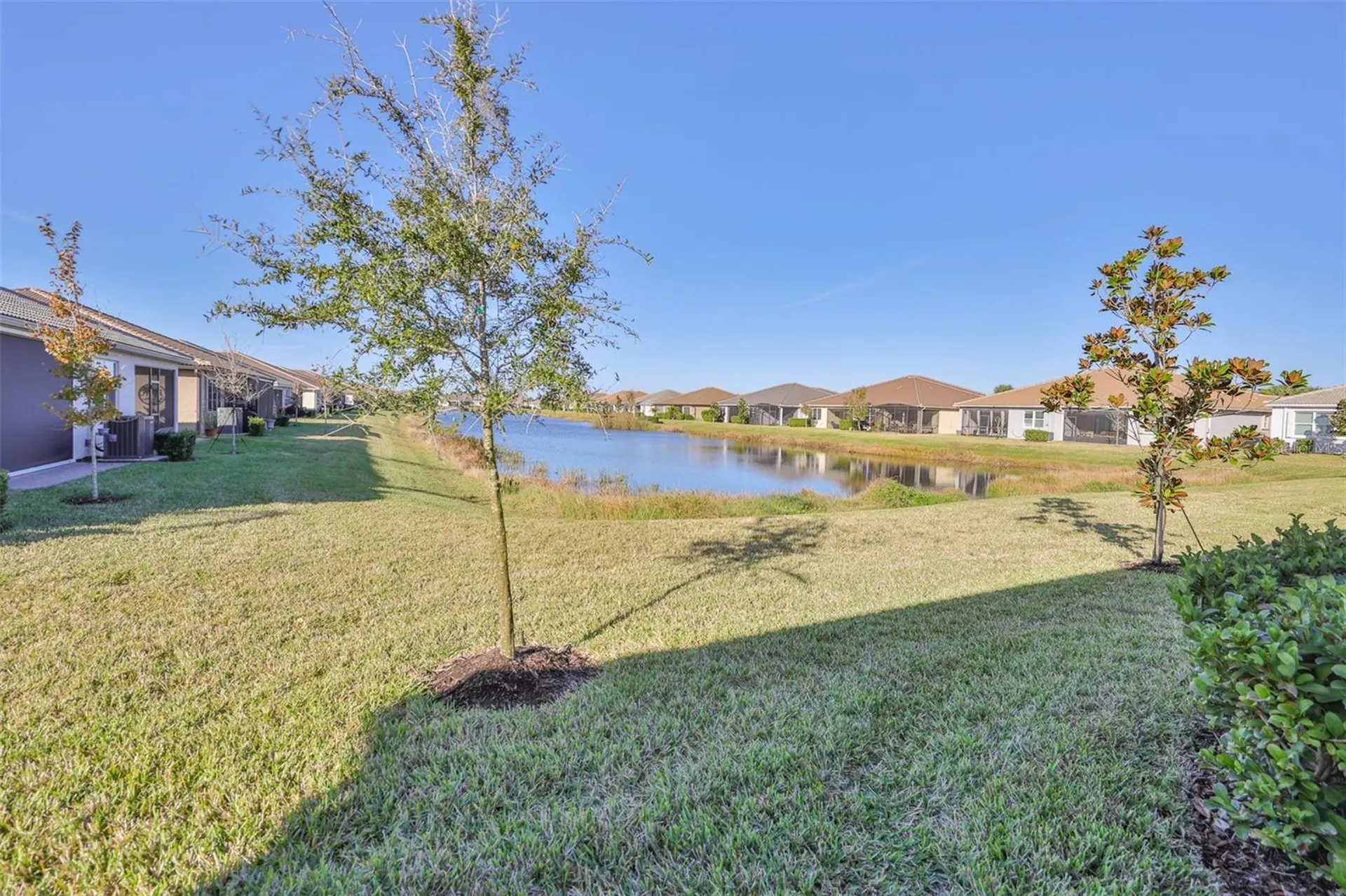 4906 Avila Lakes Drive Wimauma FL 33598