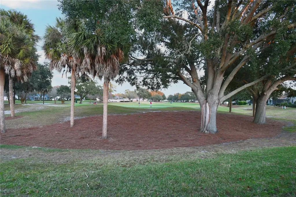 915 Ramos Drive The Villages FL 32159