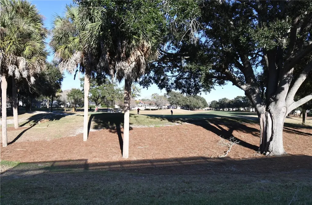 915 Ramos Drive The Villages FL 32159