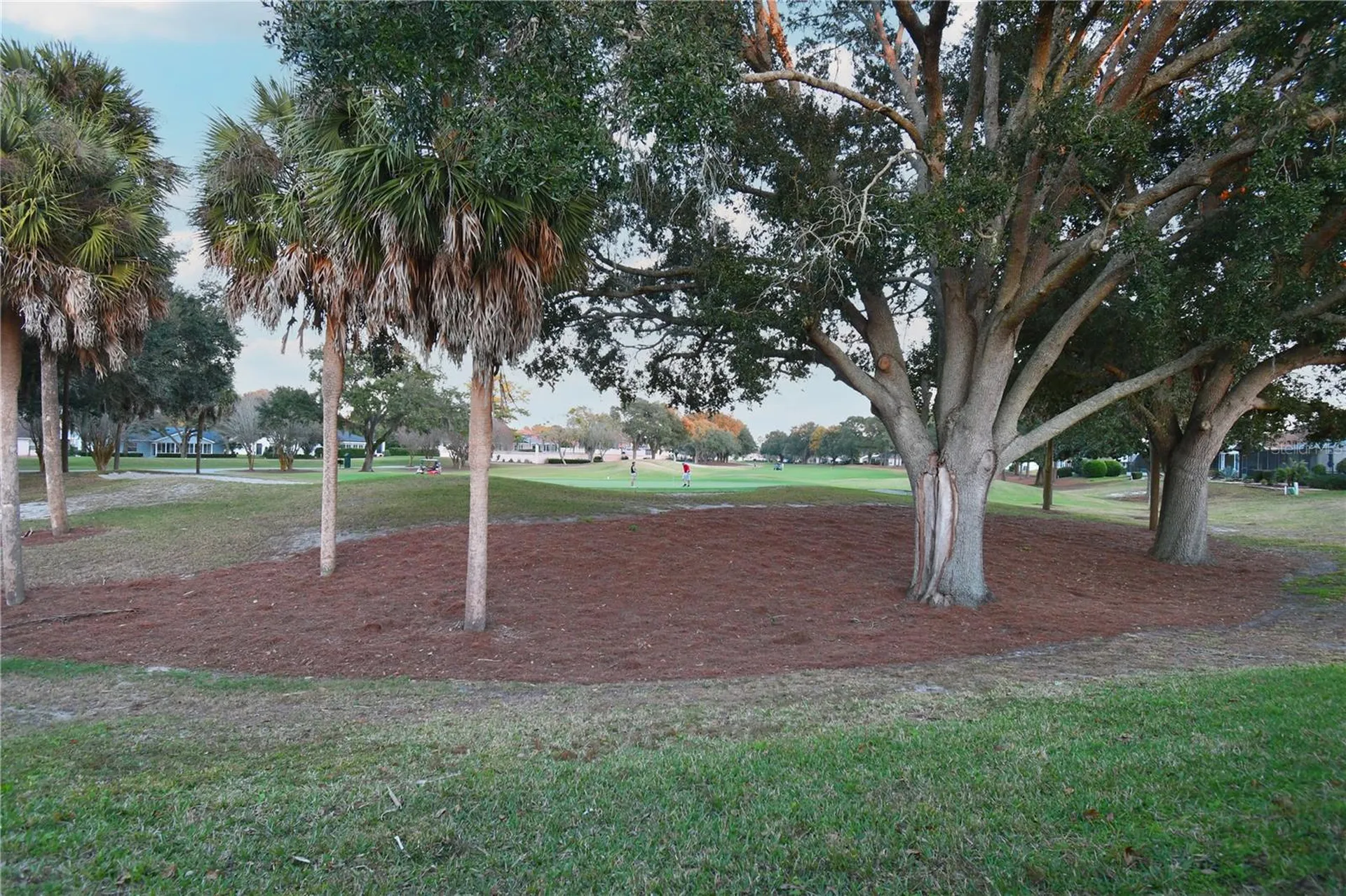 915 Ramos Drive The Villages FL 32159