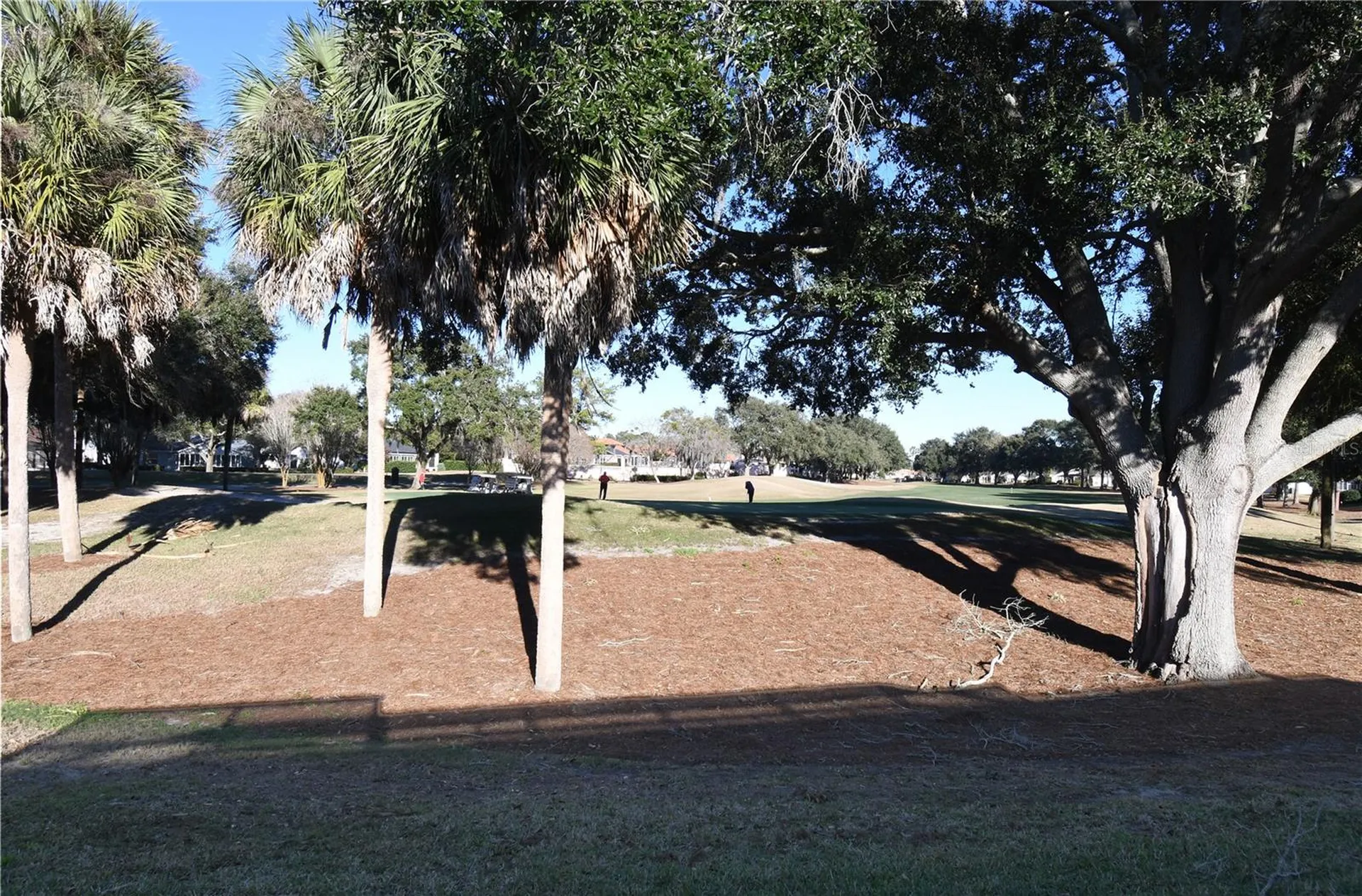 915 Ramos Drive The Villages FL 32159