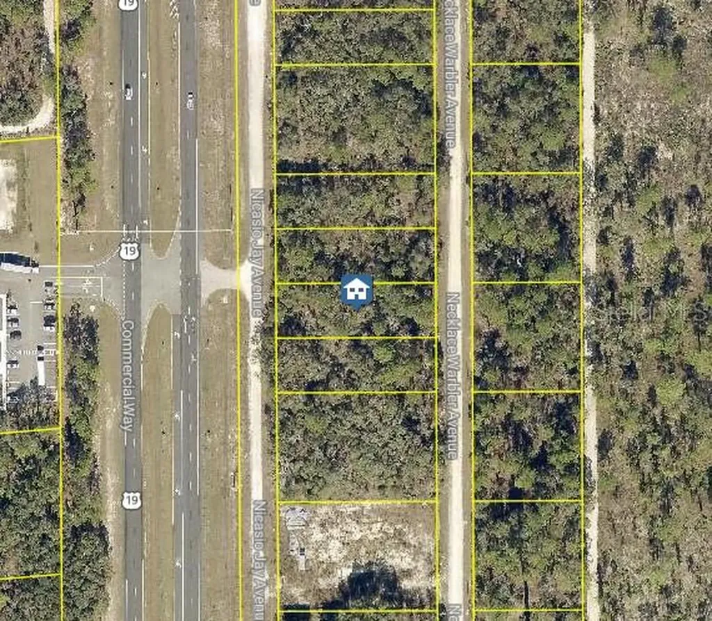 Lot 15 Nicasio Jay Avenue Weeki Wachee FL 34614