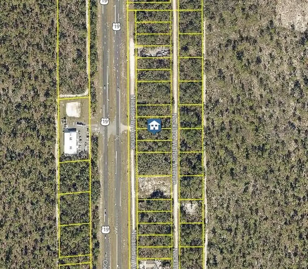 Lot 15 Nicasio Jay Avenue Weeki Wachee FL 34614