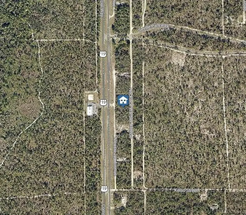 Lot 15 Nicasio Jay Avenue Weeki Wachee FL 34614