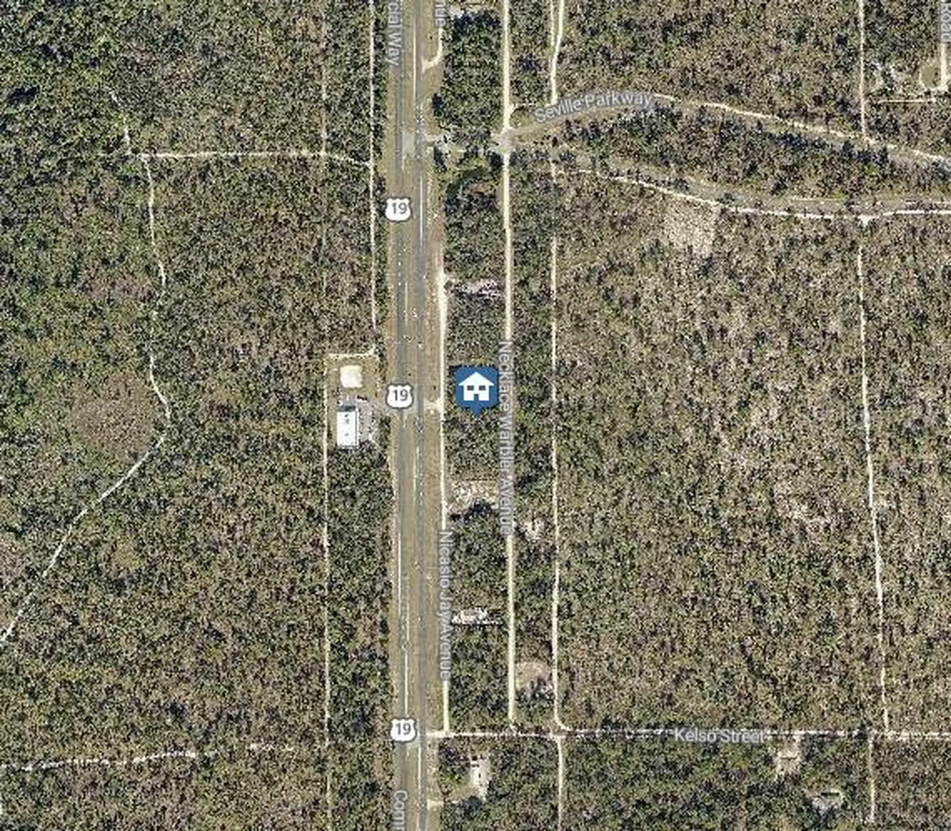 Lot 15 Nicasio Jay Avenue Weeki Wachee FL 34614