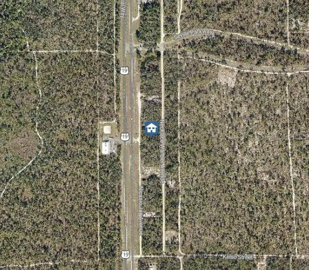Lot 14 Necklace Warbler Weeki Wachee FL 34614