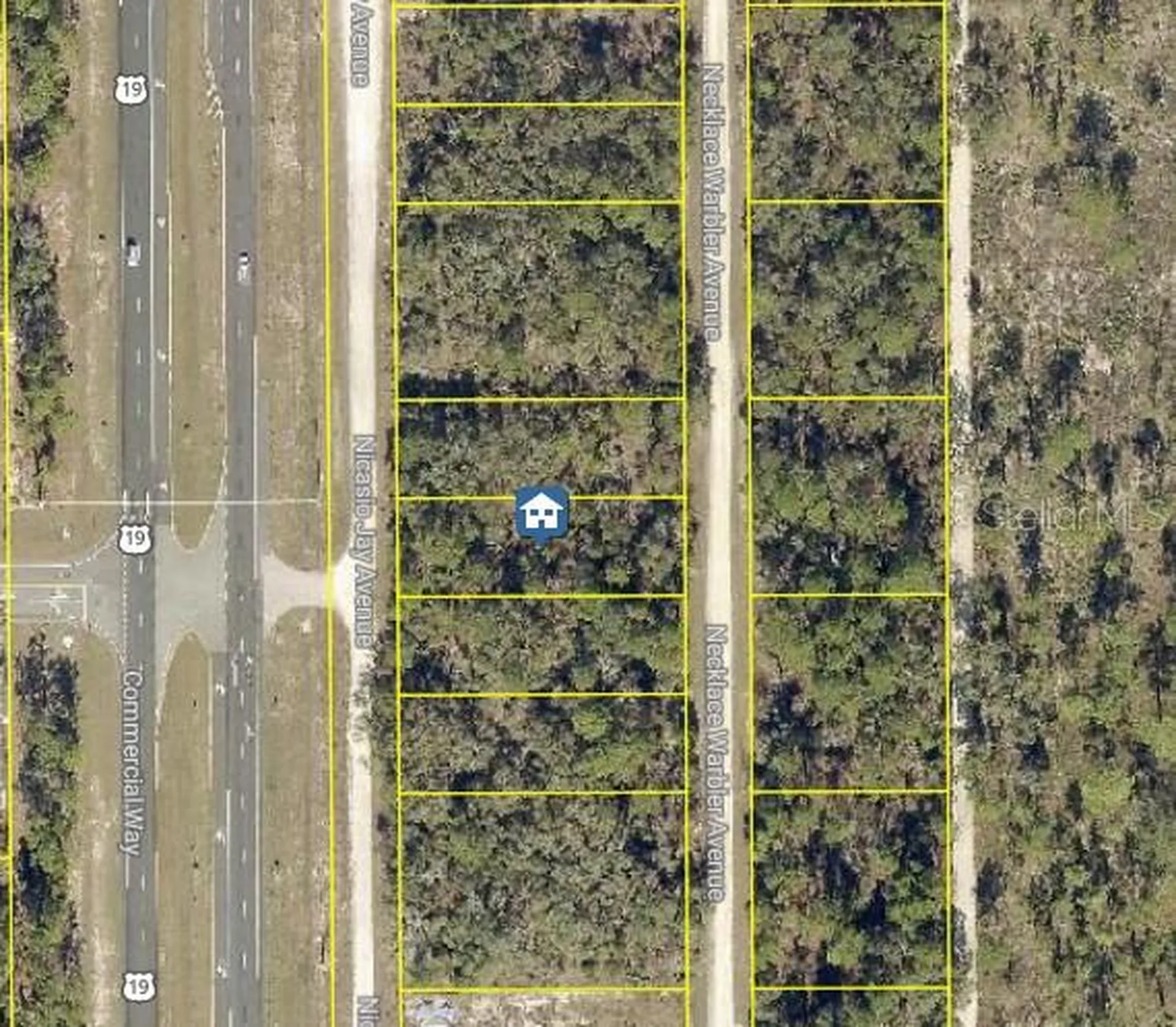 Lot 14 Necklace Warbler Weeki Wachee FL 34614