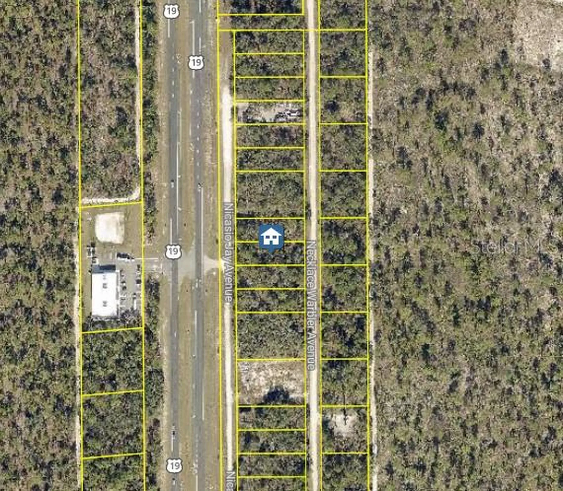 Lot 14 Necklace Warbler Weeki Wachee FL 34614