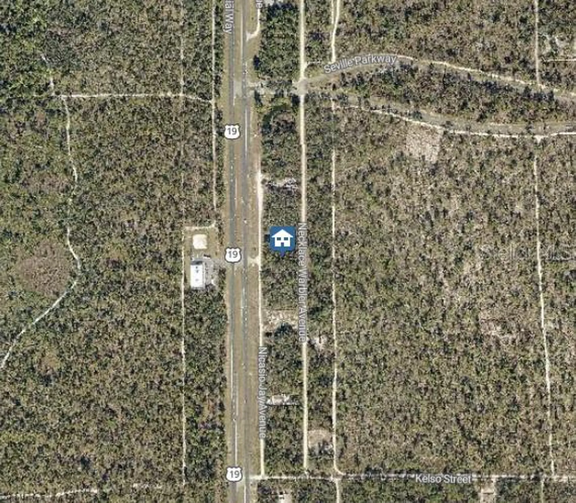 Lot 14 Necklace Warbler Weeki Wachee FL 34614
