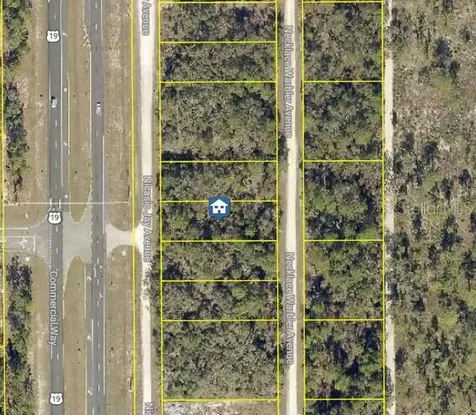 Lot 14 Necklace Warbler Weeki Wachee FL 34614