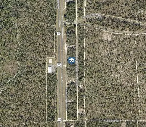 Lot 14 Necklace Warbler Weeki Wachee FL 34614