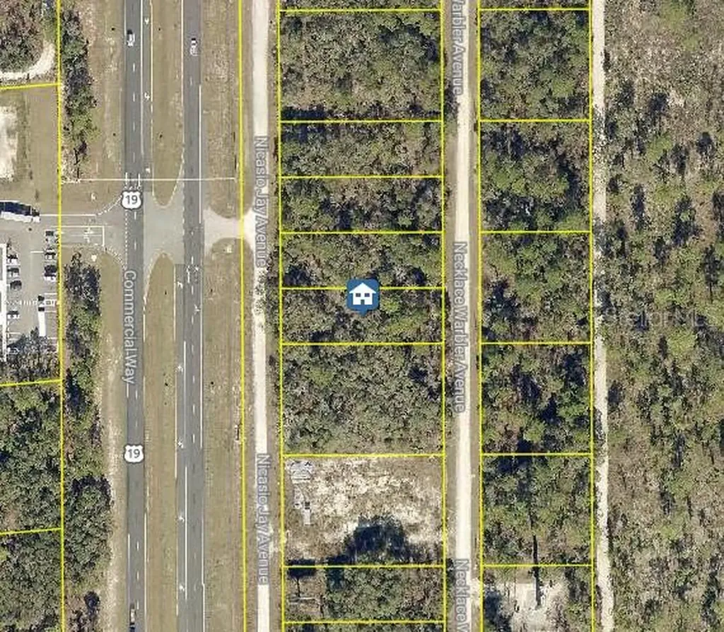 Lot 16 Necklace Warbler Avenue Weeki Wachee FL 34614