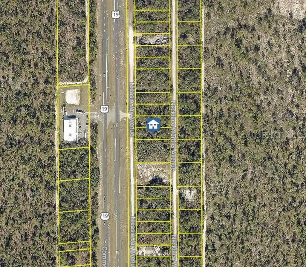 Lot 16 Necklace Warbler Avenue Weeki Wachee FL 34614