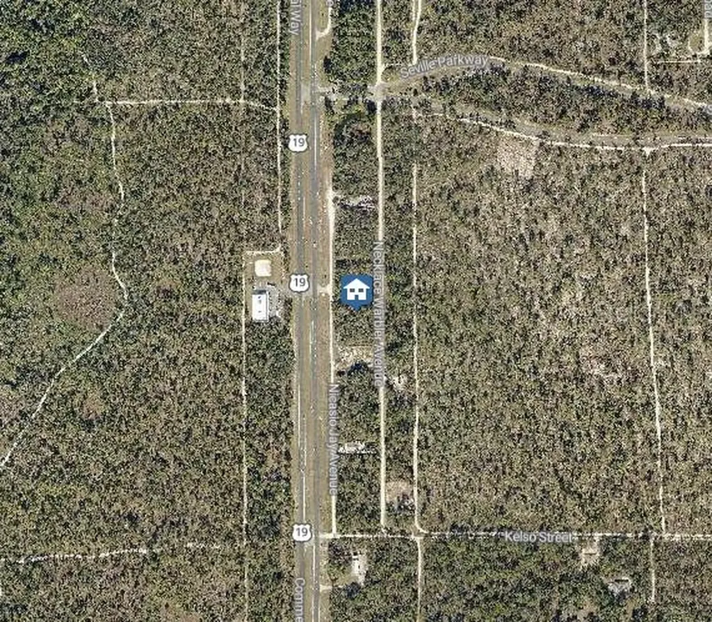 Lot 16 Necklace Warbler Avenue Weeki Wachee FL 34614