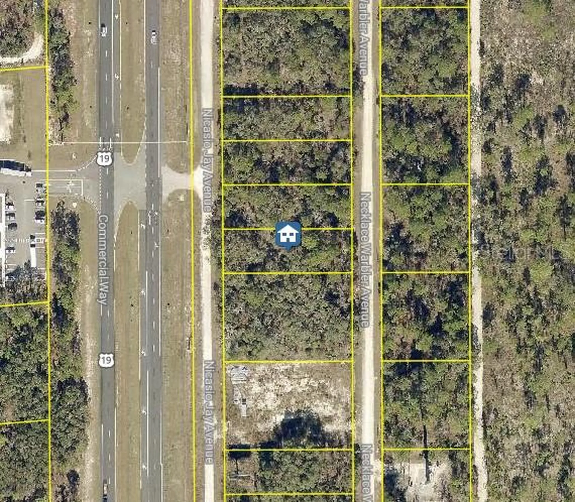 Lot 16 Necklace Warbler Avenue Weeki Wachee FL 34614