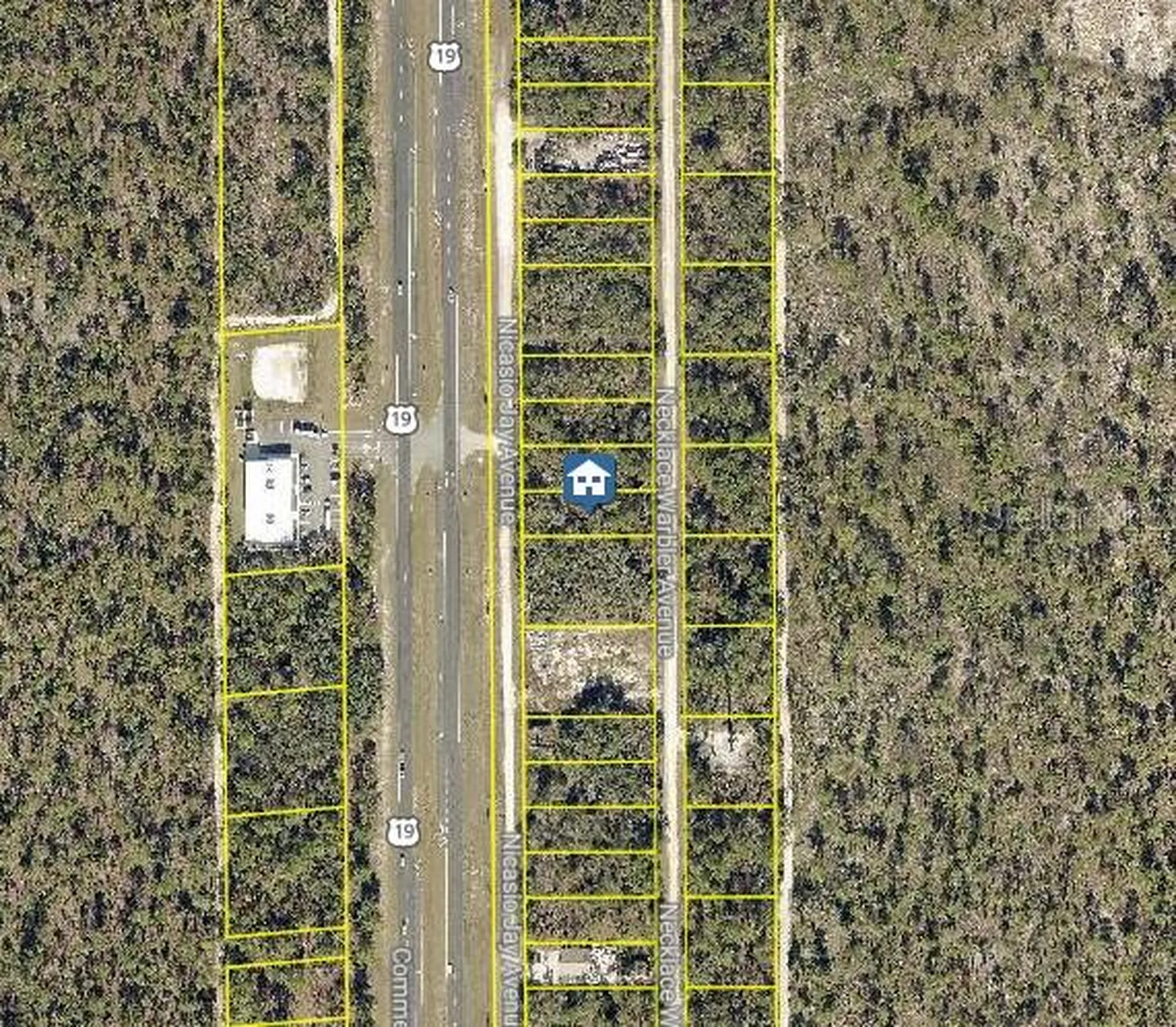 Lot 16 Necklace Warbler Avenue Weeki Wachee FL 34614