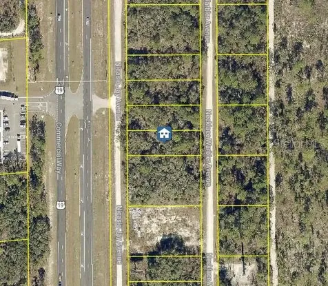 Lot 16 Necklace Warbler Avenue Weeki Wachee FL 34614