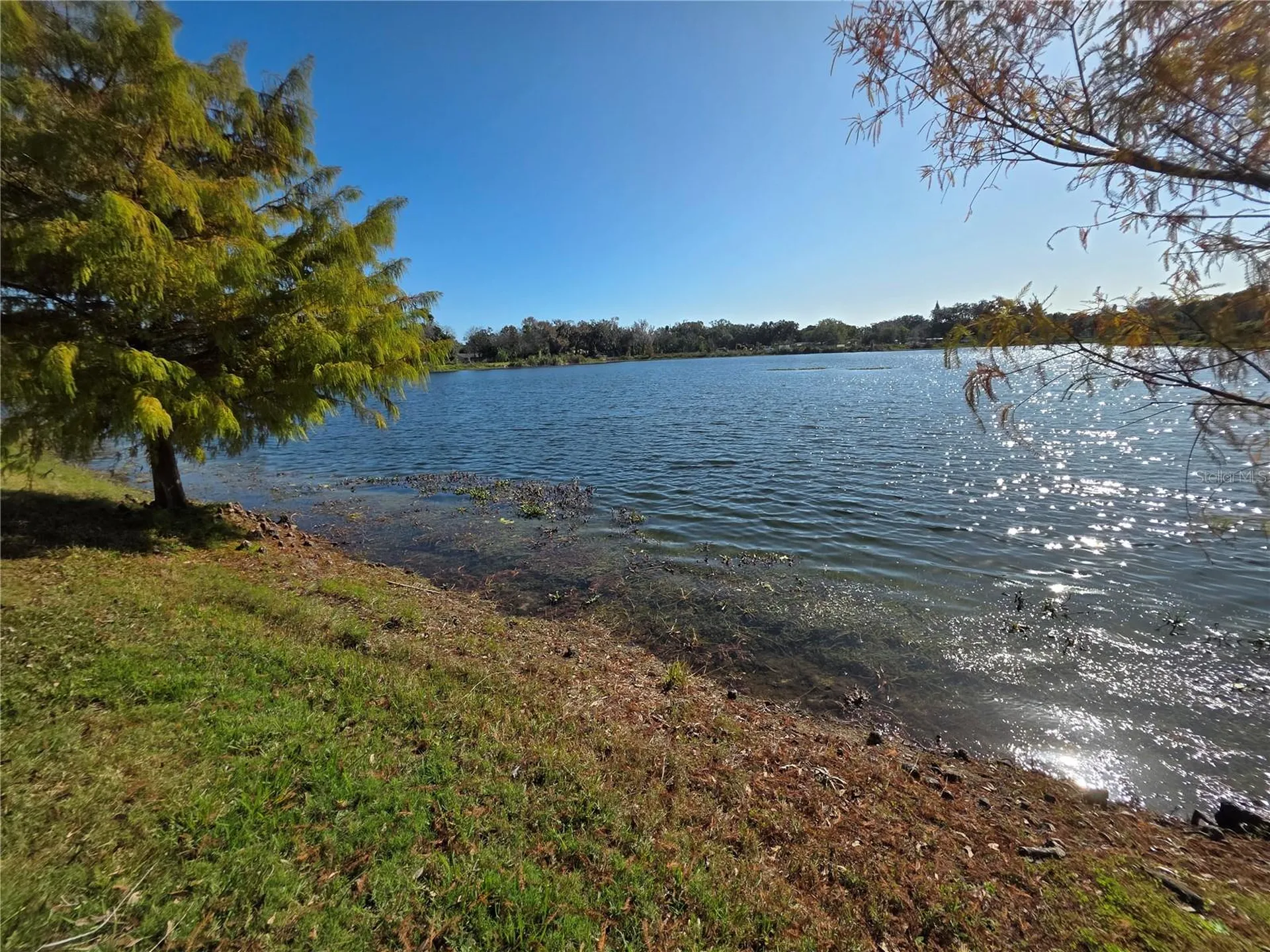 1021 Alabama Avenue Holly Hill FL 32117