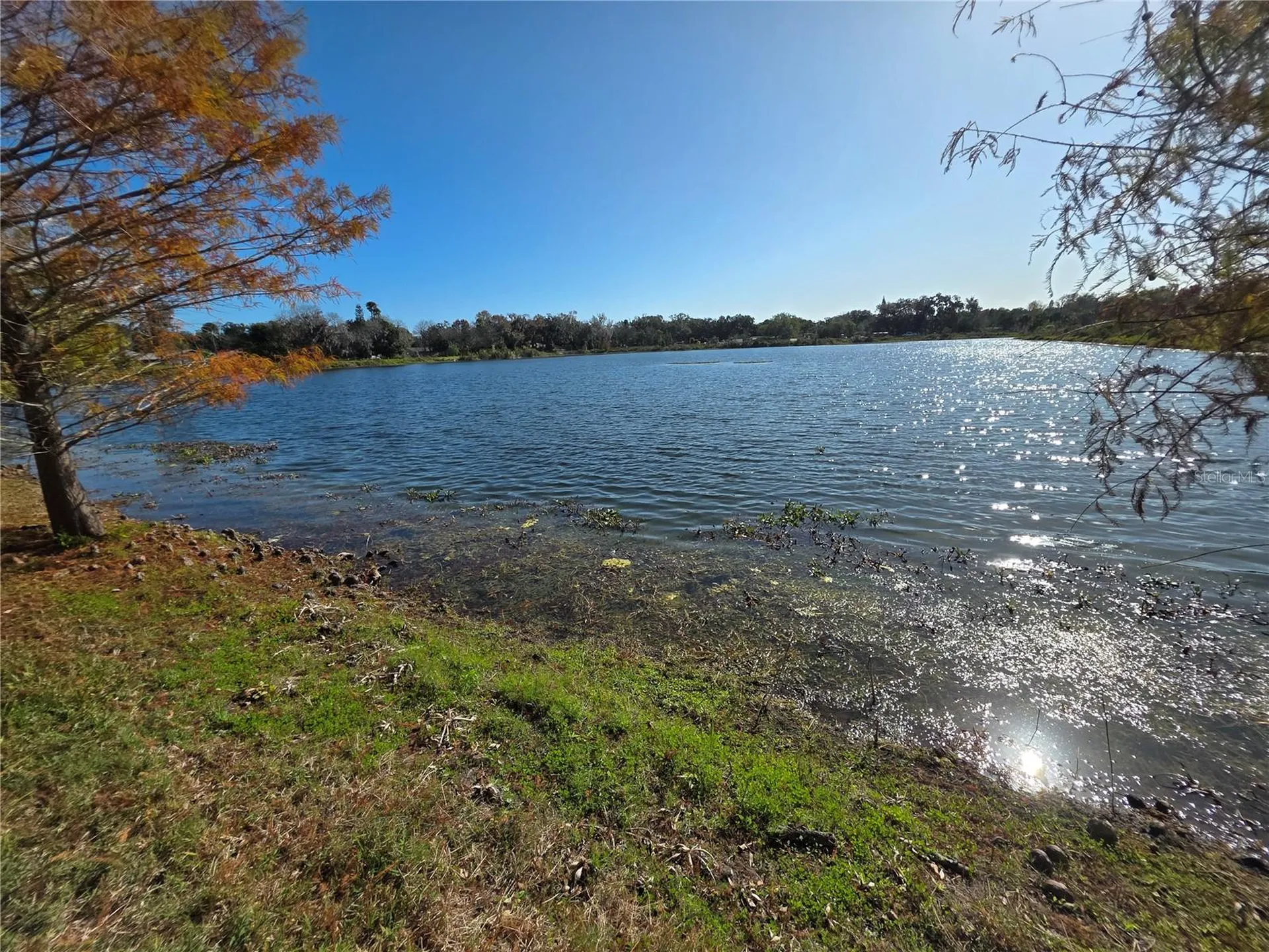 1021 Alabama Avenue Holly Hill FL 32117