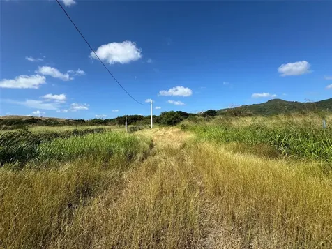 Carr. 542 Bo. Jauca, Sector Cayure Predio 119 Santa Isabel PR 00757
