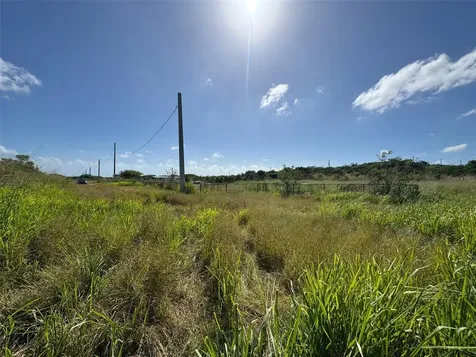 Carr. 542 Bo. Jauca, Sector Cayure Predio 119 Santa Isabel PR 00757