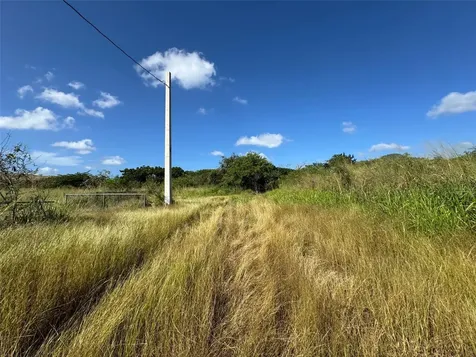 Carr. 542 Bo. Jauca, Sector Cayure Predio 119 Santa Isabel PR 00757