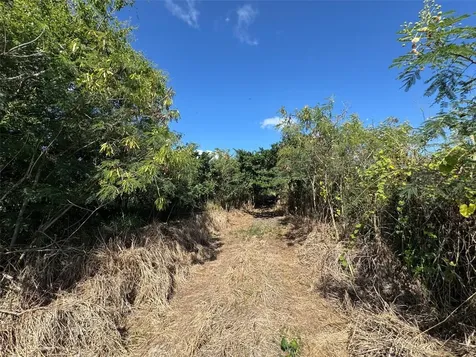 Carr. 542 Bo. Jauca, Sector Cayure Predio 119 Santa Isabel PR 00757
